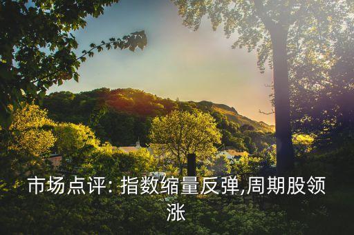 市場點(diǎn)評(píng): 指數(shù)縮量反彈,周期股領(lǐng)漲
