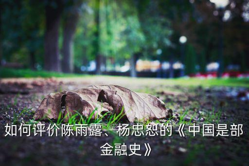 如何評(píng)價(jià)陳雨露、楊忠恕的《中國是部 金融史》