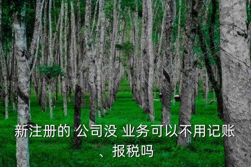 新注冊的 公司沒 業(yè)務可以不用記賬、報稅嗎