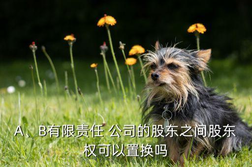 A、B有限責任 公司的股東之間股東權可以置換嗎