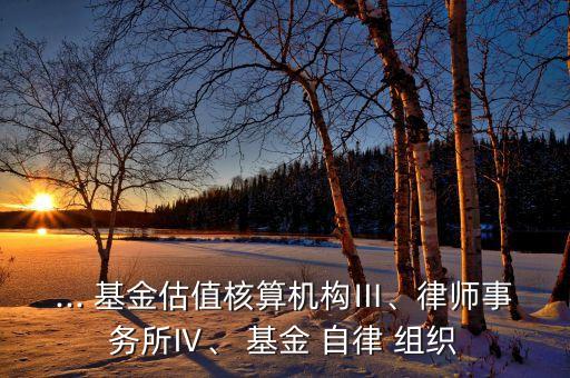 ... 基金估值核算機(jī)構(gòu)Ⅲ、律師事務(wù)所Ⅳ、 基金 自律 組織