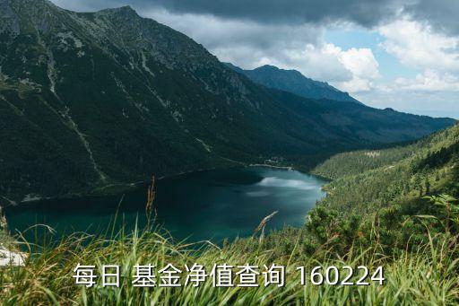 每日 基金凈值查詢(xún) 160224