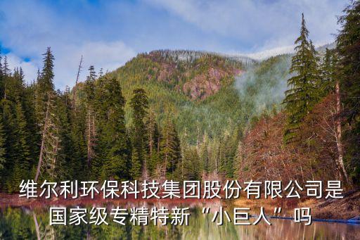  維爾利環(huán)?？萍技瘓F(tuán)股份有限公司是國(guó)家級(jí)專精特新“小巨人”嗎
