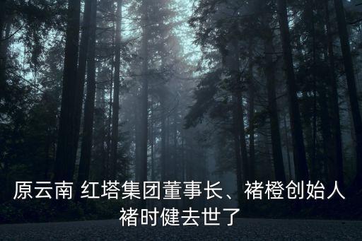 原云南 紅塔集團(tuán)董事長、褚橙創(chuàng)始人褚時(shí)健去世了