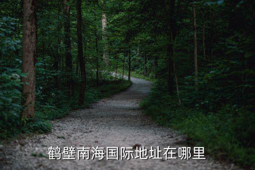 鶴壁南海國(guó)際地址在哪里