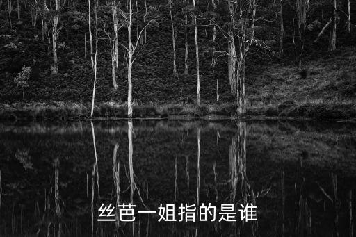 華人文化產(chǎn)業(yè)投資基金相關的股票,幕后投資者是中國華人文化產(chǎn)業(yè)投資基金