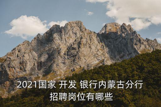 2021國家 開發(fā) 銀行內蒙古分行 招聘崗位有哪些