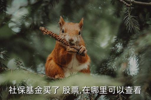 社?；鹳I了 股票,在哪里可以查看