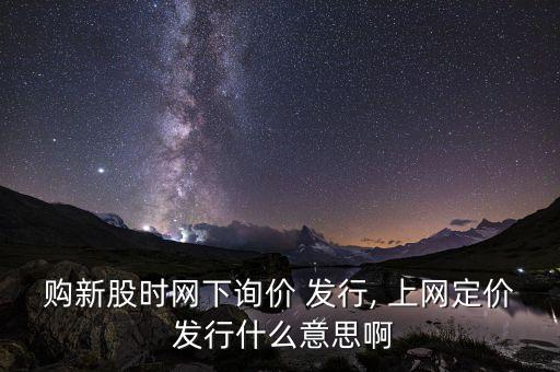 購新股時(shí)網(wǎng)下詢價(jià) 發(fā)行, 上網(wǎng)定價(jià) 發(fā)行什么意思啊