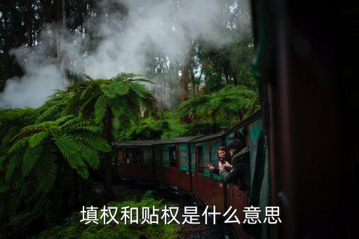 填權股票特征,填權后的股票一般后期什么走勢