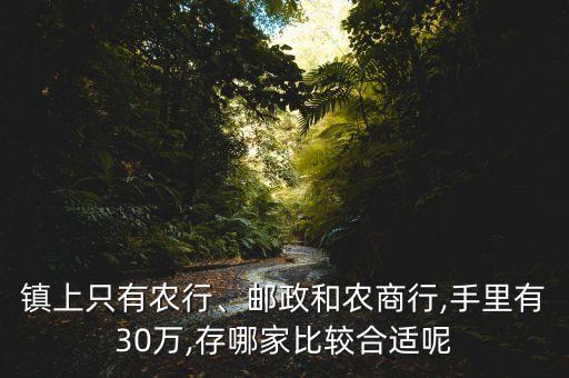 鎮(zhèn)上只有農(nóng)行、郵政和農(nóng)商行,手里有30萬,存哪家比較合適呢