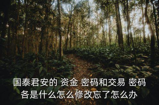 證券轉銀行的資金密碼是什么,資金密碼忘記怎樣找回