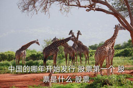 中國(guó)的哪年開始發(fā)行 股票第一個(gè) 股票是什么 股票