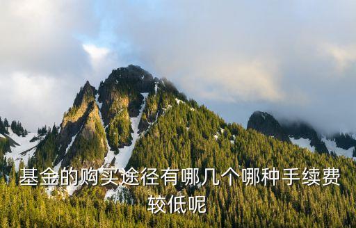  基金的購買途徑有哪幾個(gè)哪種手續(xù)費(fèi)較低呢