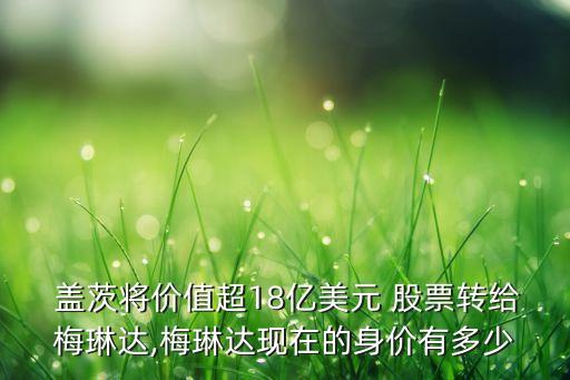 蓋茨將價值超18億美元 股票轉給梅琳達,梅琳達現在的身價有多少