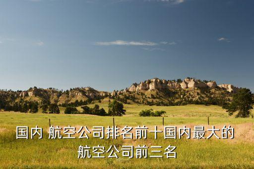 國內 航空公司排名前十國內最大的 航空公司前三名