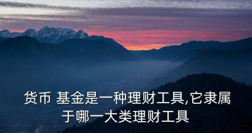 貨幣市場(chǎng)基金名詞解釋