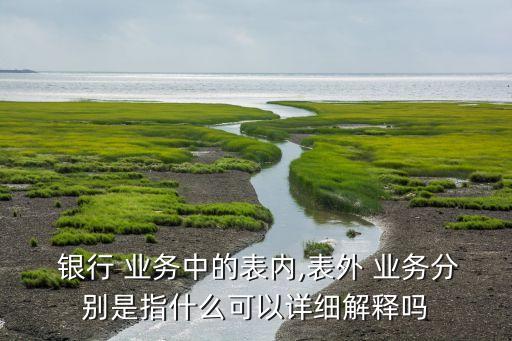  銀行 業(yè)務中的表內,表外 業(yè)務分別是指什么可以詳細解釋嗎