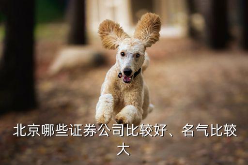  北京哪些證券公司比較好、名氣比較大
