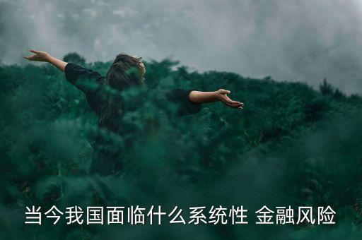 當(dāng)今我國(guó)面臨什么系統(tǒng)性 金融風(fēng)險(xiǎn)