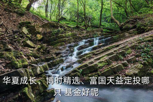 華夏成長(zhǎng)、博時(shí)精選、富國(guó)天益定投哪只 基金好呢