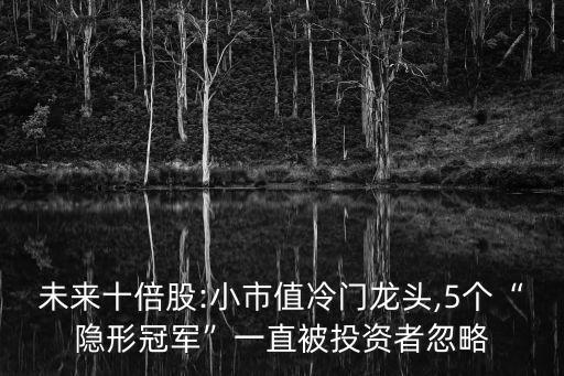 未來(lái)十倍股:小市值冷門(mén)龍頭,5個(gè)“隱形冠軍”一直被投資者忽略