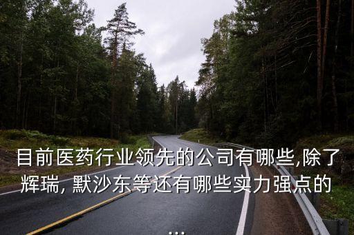 目前醫(yī)藥行業(yè)領(lǐng)先的公司有哪些,除了輝瑞, 默沙東等還有哪些實力強(qiáng)點(diǎn)的...