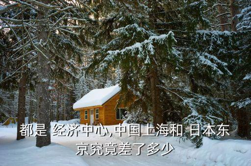 都是 經(jīng)濟(jì)中心,中國上海和 日本東京究竟差了多少