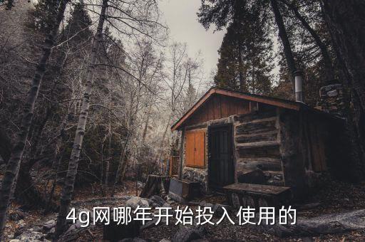 4g網(wǎng)哪年開(kāi)始投入使用的