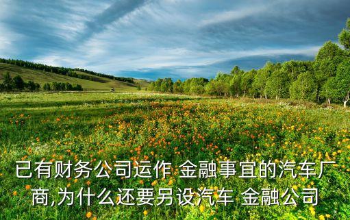 已有財務(wù)公司運(yùn)作 金融事宜的汽車廠商,為什么還要另設(shè)汽車 金融公司