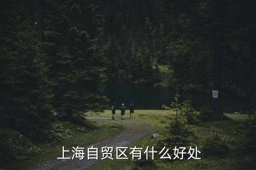  上海自貿區(qū)有什么好處