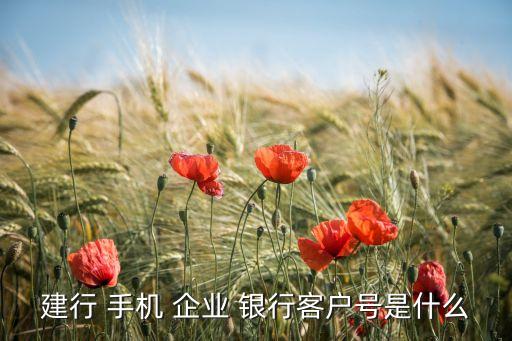 建設(shè)銀行企業(yè)手機銀行,中國建設(shè)銀行企業(yè)手機銀行
