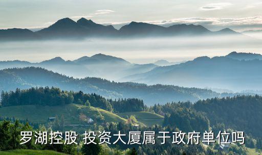 深圳市羅湖擔(dān)保投資公司,平安保險擔(dān)保的投資公司怎么樣