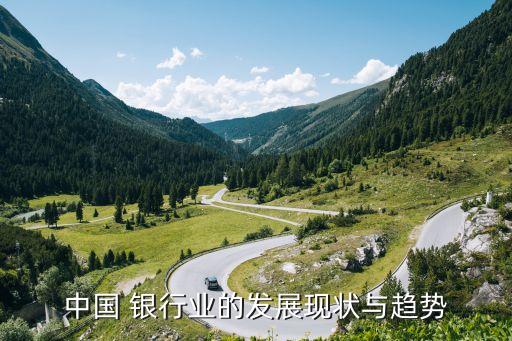 中國 銀行業(yè)的發(fā)展現狀與趨勢