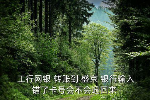  工行網(wǎng)銀 轉(zhuǎn)賬到 盛京 銀行輸入錯(cuò)了卡號會(huì)不會(huì)退回來