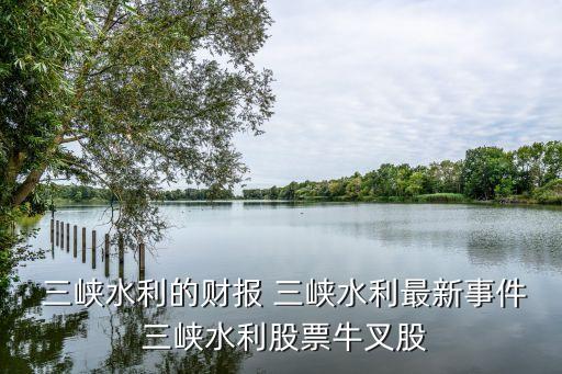 重慶三峽產業(yè)投資發(fā)展有限公司,重慶兩江航空航天產業(yè)投資集團有限公司