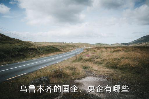 烏魯木齊的國(guó)企、央企有哪些
