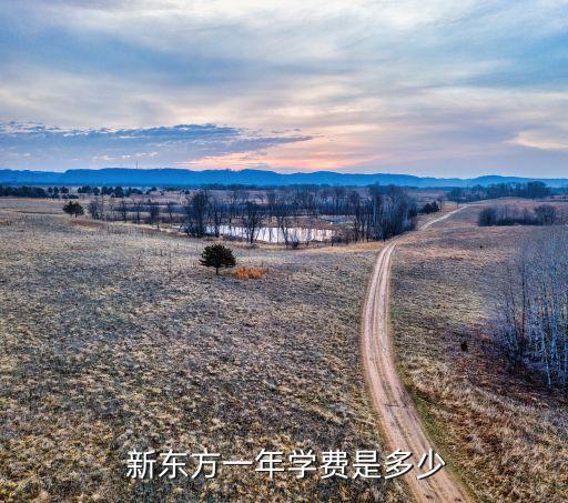  新東方一年學(xué)費是多少