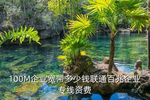 100M企業(yè)寬帶多少錢(qián)聯(lián)通百兆企業(yè)專(zhuān)線資費(fèi)