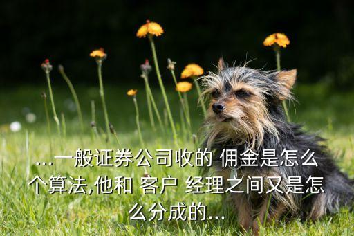 ...一般證券公司收的 傭金是怎么個算法,他和 客戶 經理之間又是怎么分成的...