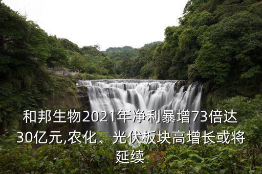 和邦生物2021年凈利暴增73倍達(dá)30億元,農(nóng)化、光伏板塊高增長或?qū)⒀永m(xù)