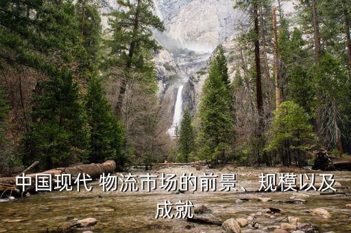 中國現(xiàn)代 物流市場的前景、規(guī)模以及成就