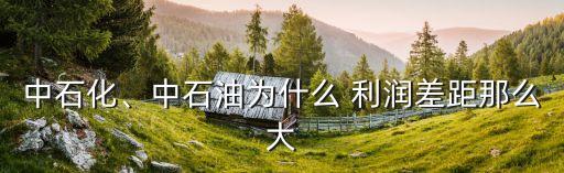 中石化、中石油為什么 利潤(rùn)差距那么大