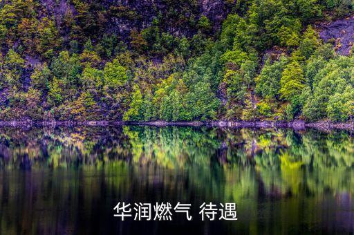 華潤燃?xì)?待遇
