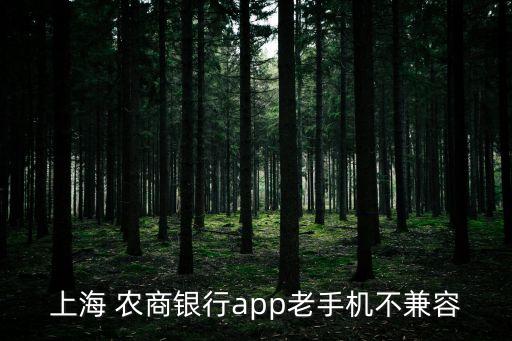 上海農(nóng)商銀行系統(tǒng)升級暫停服務公告,銀行內部系統(tǒng)升級暫停服務幾天正常