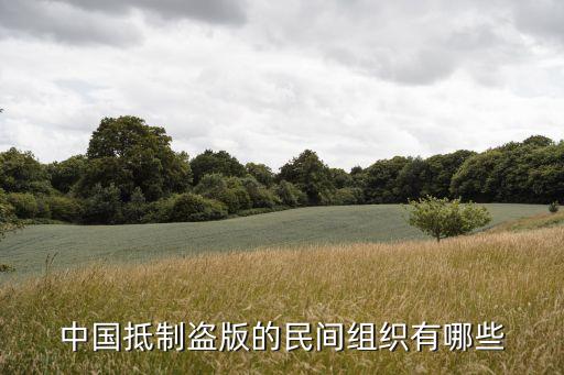 中國不保護版權,保護版權繪畫作品
