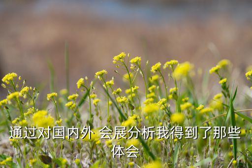 通過對(duì)國(guó)內(nèi)外 會(huì)展分析我得到了那些體會(huì)