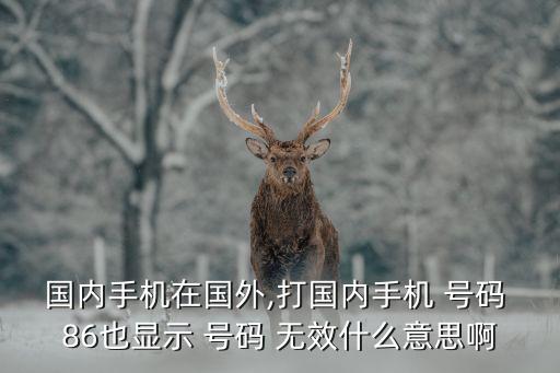 中國聯(lián)通號(hào)碼無效