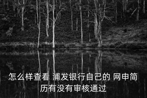 浦發(fā)銀行網申狀態(tài)