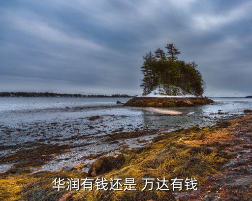 華潤(rùn)有錢(qián)還是 萬(wàn)達(dá)有錢(qián)